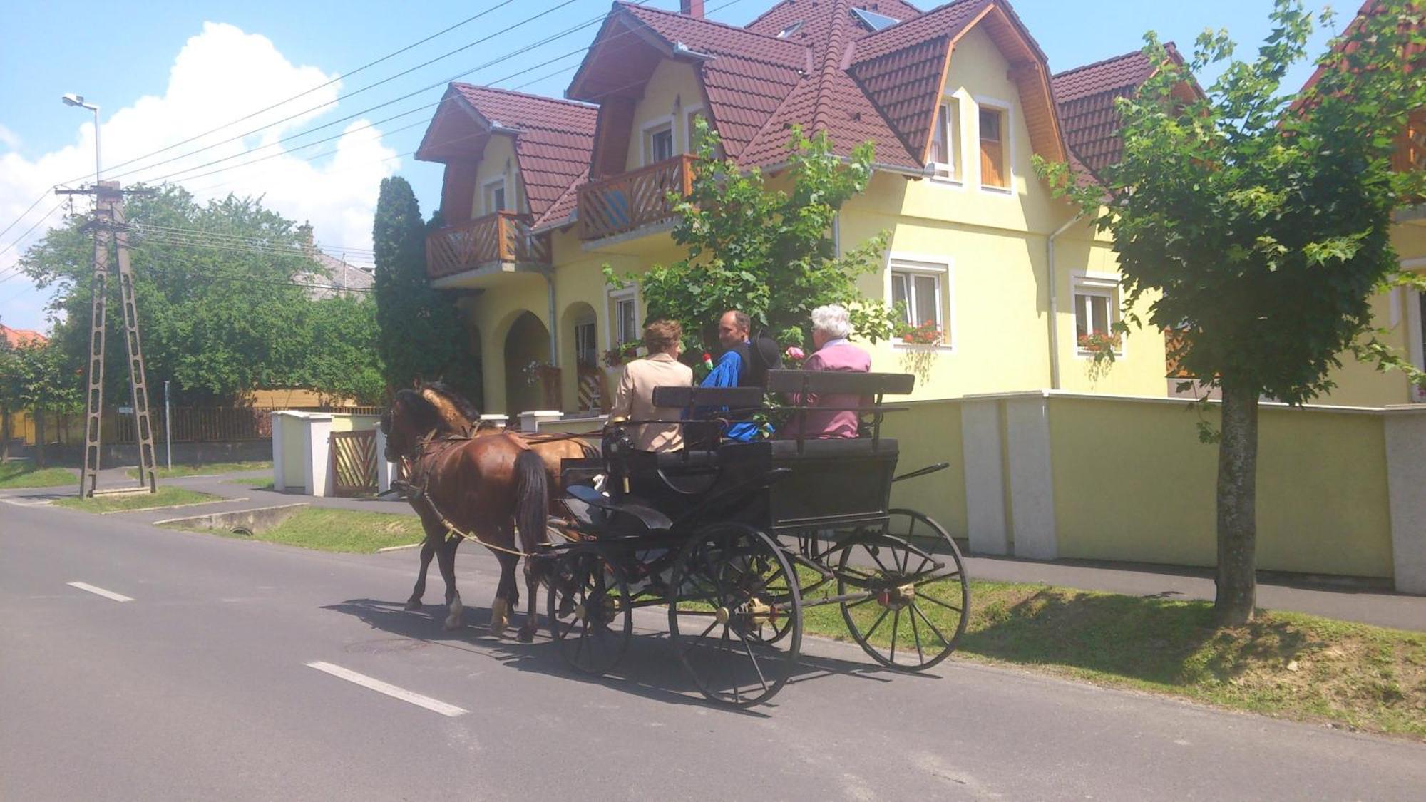 Erika Pension Keszthely Bagian luar foto